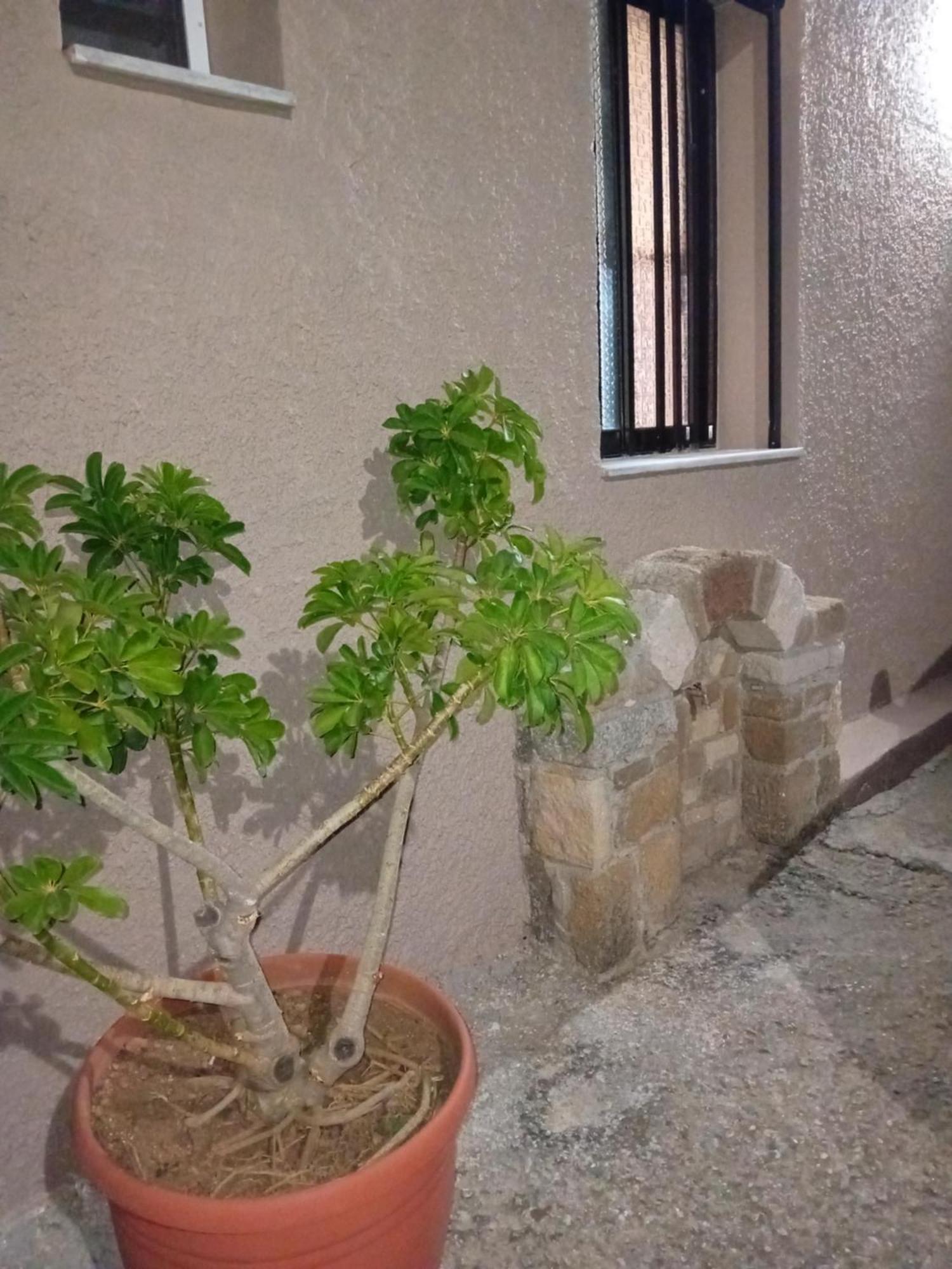 فيلا Casa Artemis Plátanos المظهر الخارجي الصورة